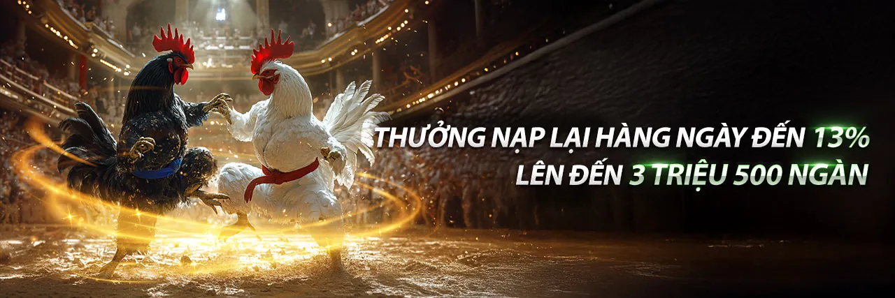 Đấu gà trực tuyến kịch tính tại bin88 login